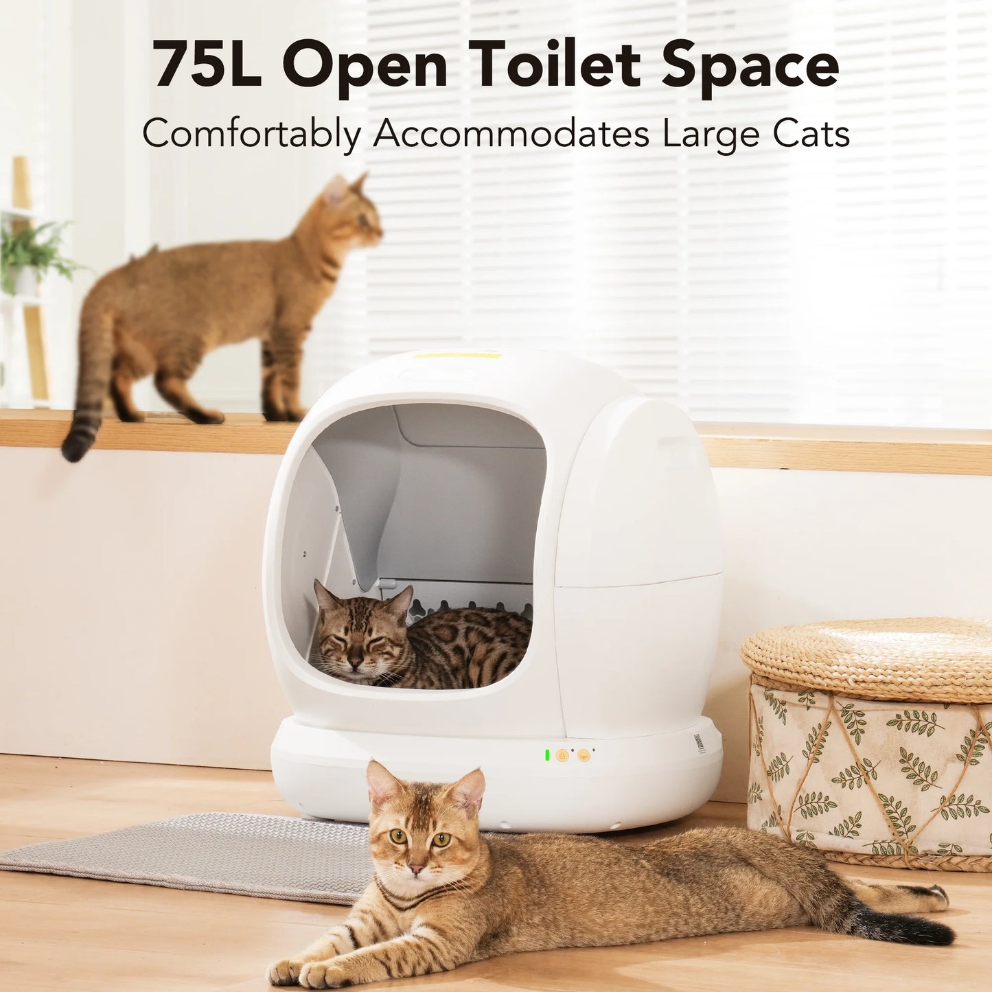 Self-Cleaning Cat Litter Box, APP Control